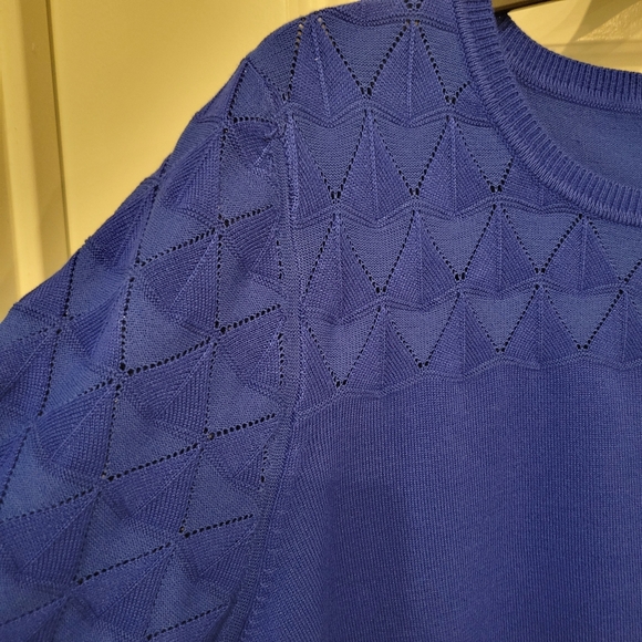 MELISSA PAIGE WOMEN'S PERFORATED LIGHTWEIGHT SWEATER SIZE LARGE NWT - Picture 3 of 4